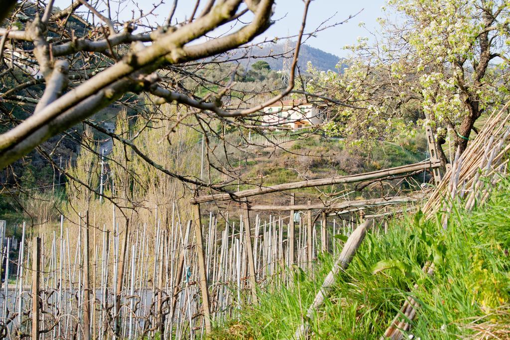 Family House Apartamento Levanto Quarto foto